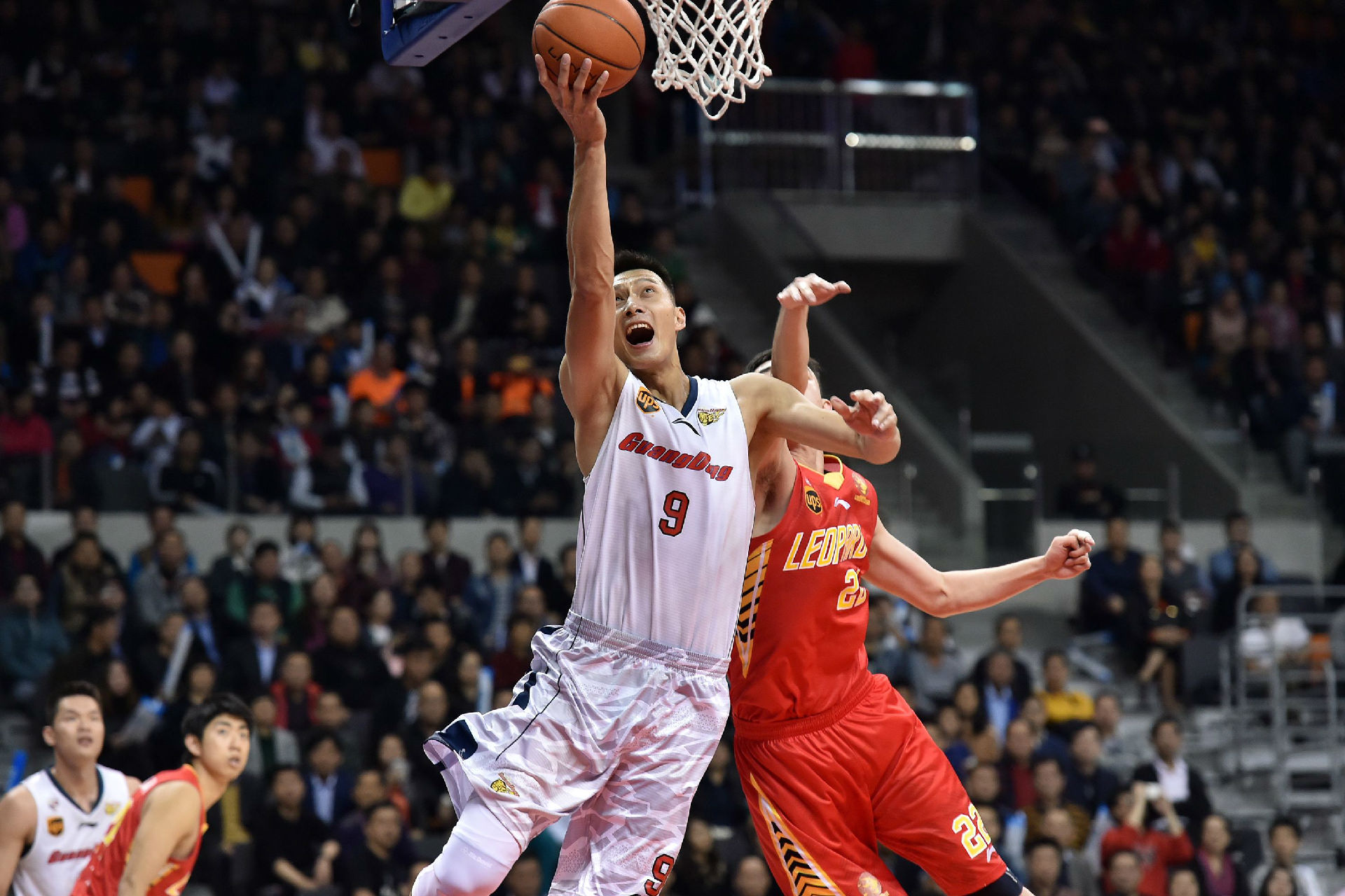 导风格与这 导风格与这